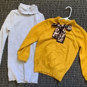 Lot of Two Sweaters